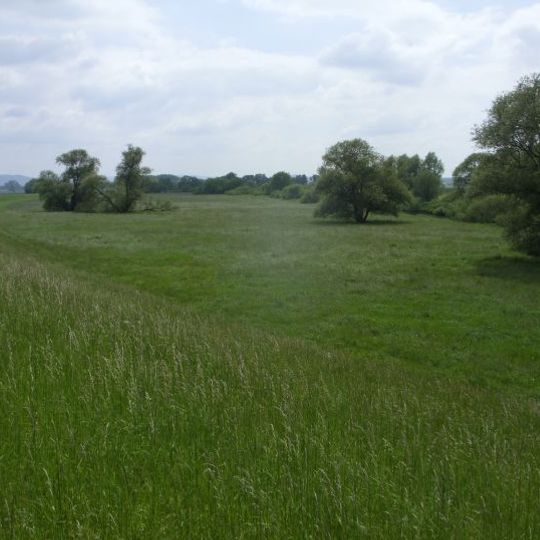 Leineniederung Salzderhelden