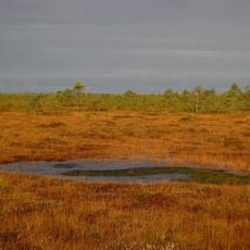 Alutaguse National Park