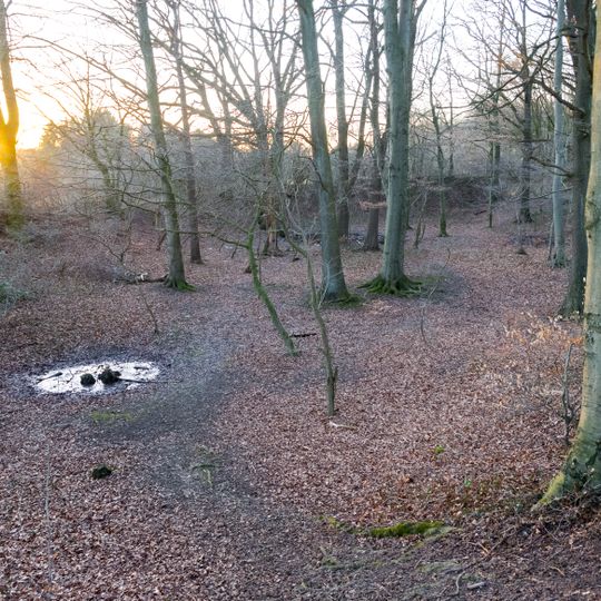Biotopkomplex am Viethberg