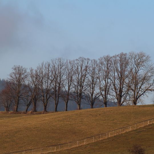 Stromořadí na Šibenici