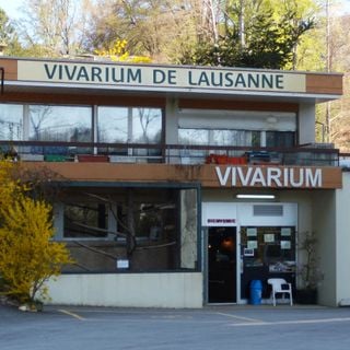 Vivarium de Lausanne