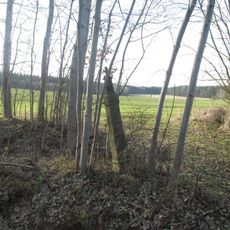 Kříž u Němčic u silnice