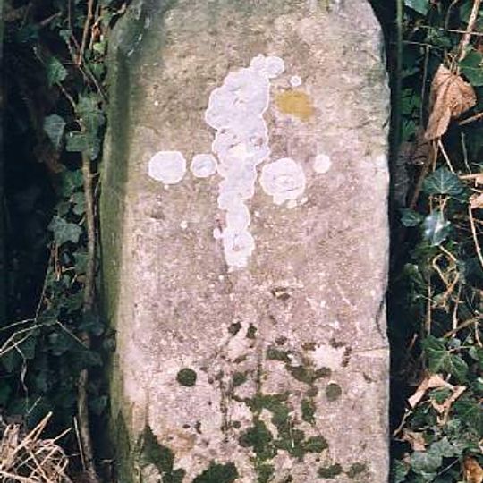Milestone, 15yds E of white iron gate into Salle Park