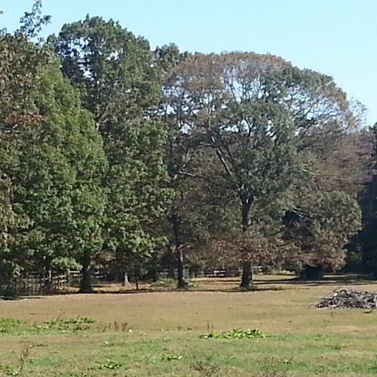 Southwind Vineyard & Winery