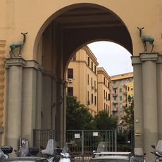 Cervo destro