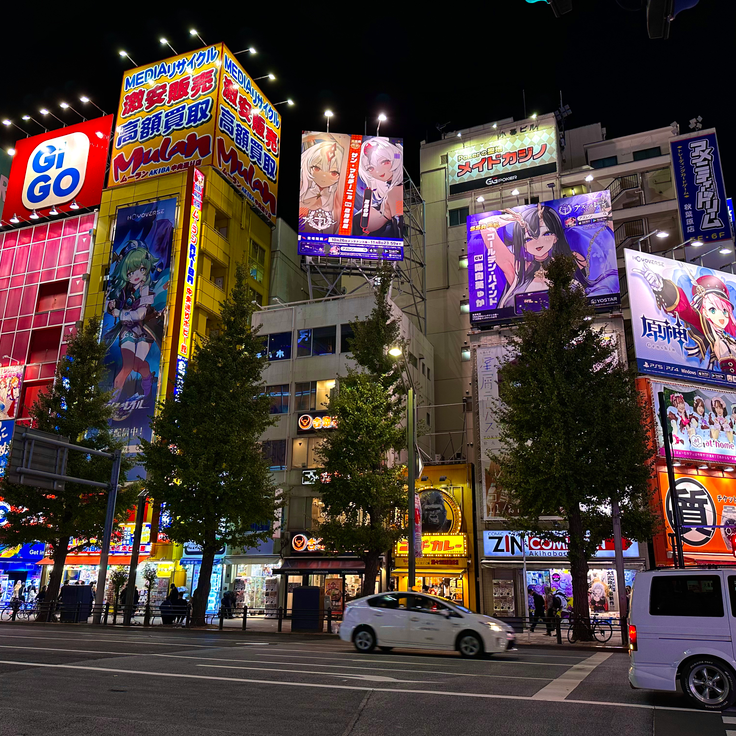 Akihabara Electric Town