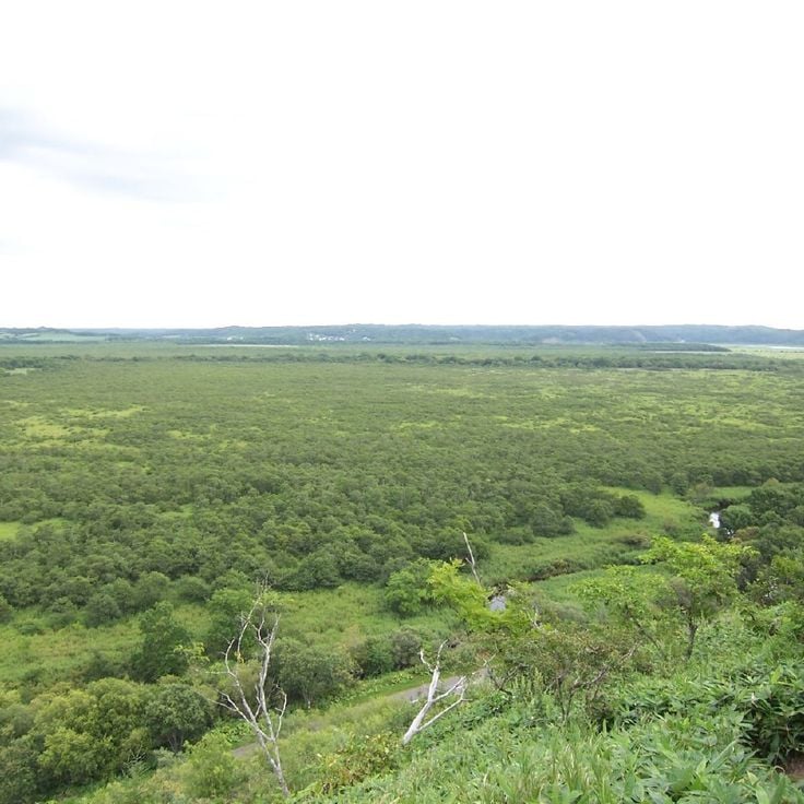Parque Nacional de Kushiro Shitsugen