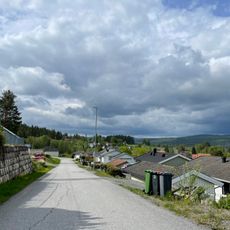 Skogliveien, Ringerike