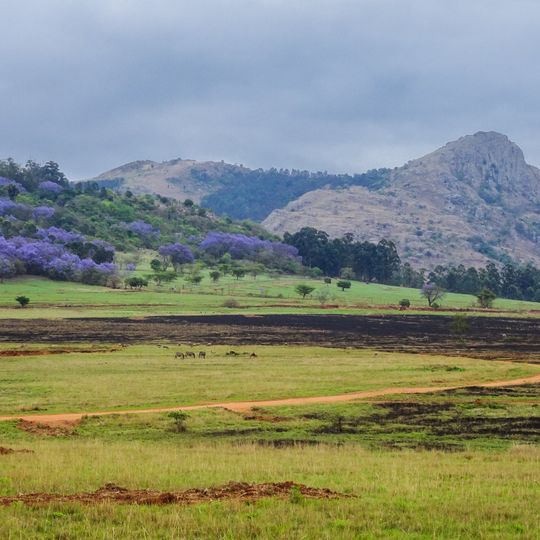 Mantenga Nature Reserve