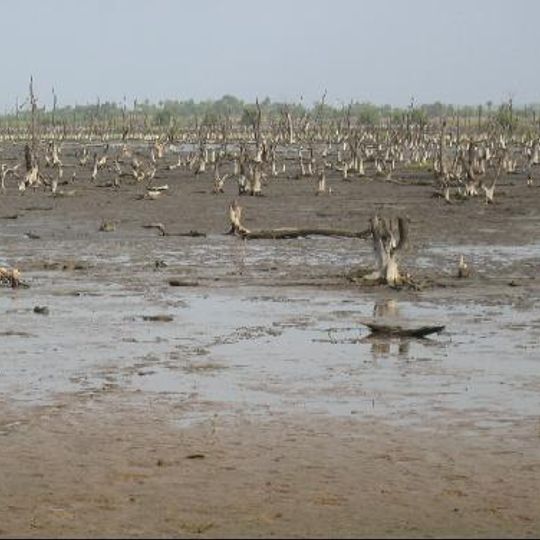 Divisione del Lower River