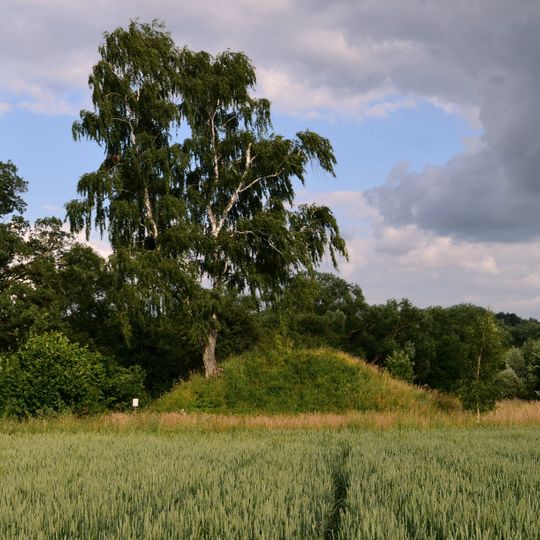 Vikūnų piliakalnis