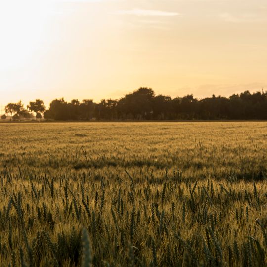 LSG-Erholungsgebiet Stoeckheimer Hof und Freiraum Esch/Auweiler