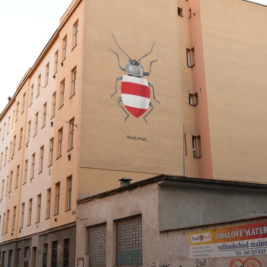 Mural Brouk Brňák