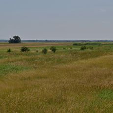 Bewahrungszone Waasen-Hanság
