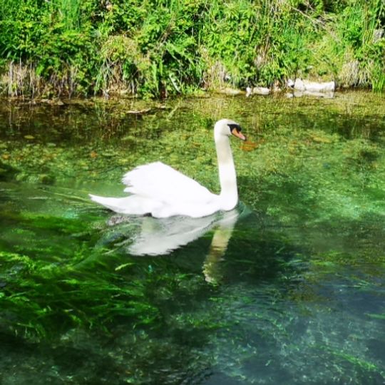 Fiume e Fonti del Clitunno