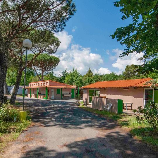 Les Pins / Le Congo