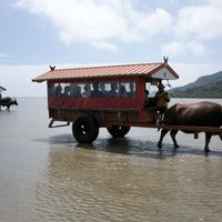 prefettura di Okinawa