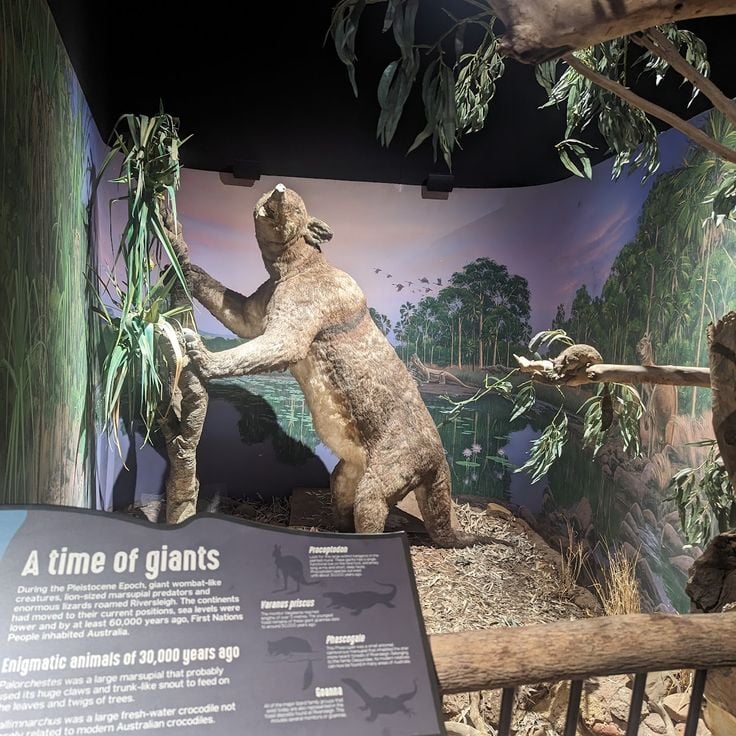 Riversleigh Fossil Centre