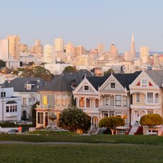 Painted ladies