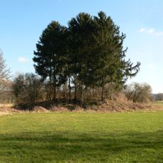 Burghügel bei Messenkamp