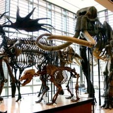 Beneski Museum of Natural History, Amherst College