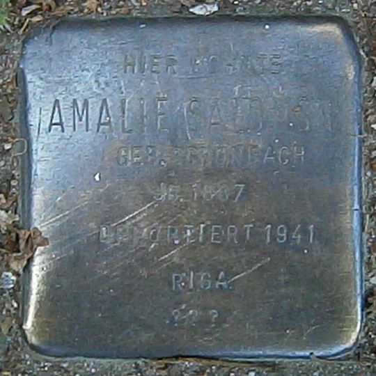 Stolperstein dedicated to Amalie Salomon