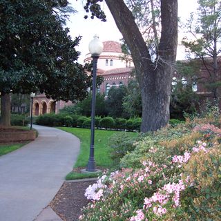 Arboreto de la Universidad de California Campus de Chico
