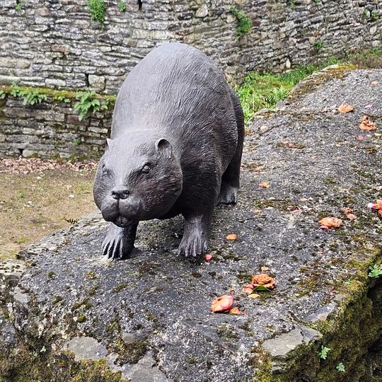 Un castor sur un mur