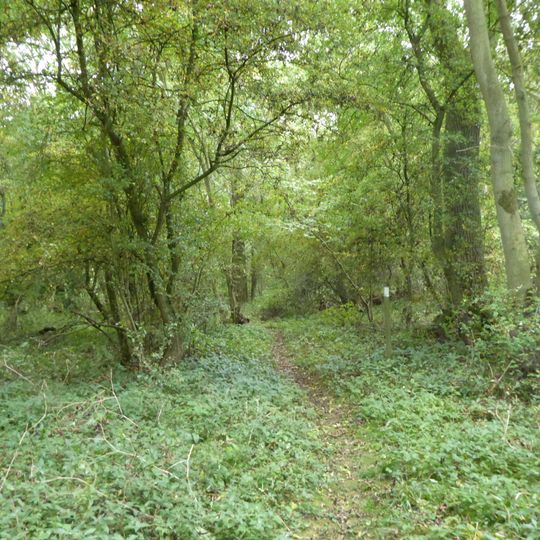 Eye Brook Valley Woods