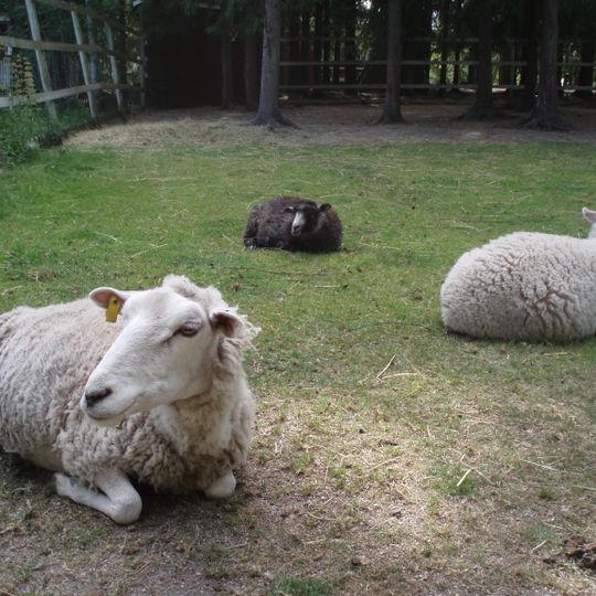 Orimattilan kotieläinpuisto