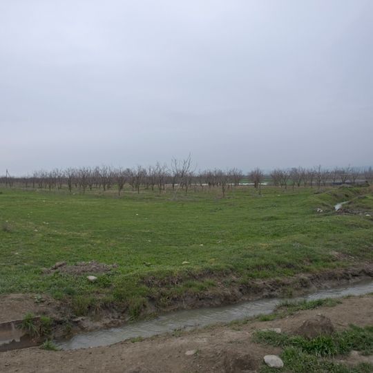 Shabran District