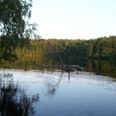 Pinnsee