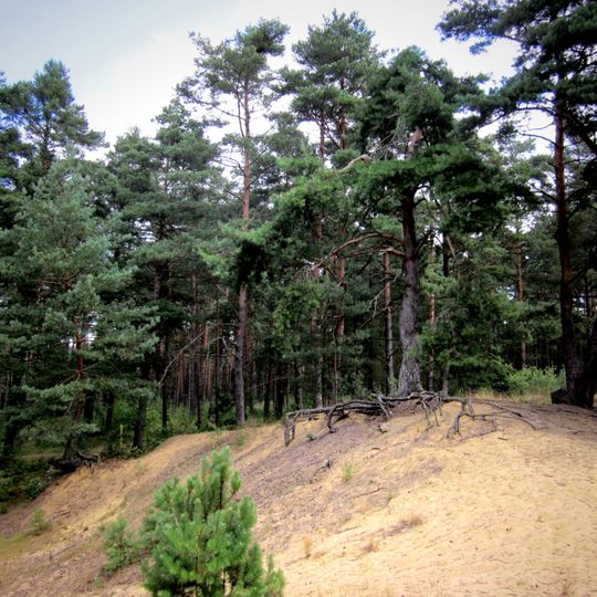 Naturschutzgebiet 'Binnendünen bei Siegenburg und Offenstetten'