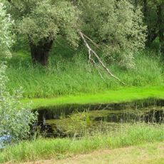 Oderinsel Küstrin-Kietz