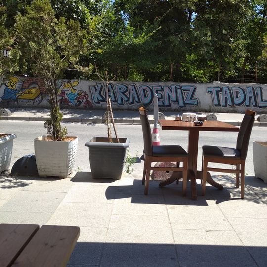 Karadeniz Tadal dedi Salonu