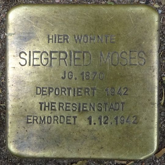Stolperstein dedicated to Siegfried Moses
