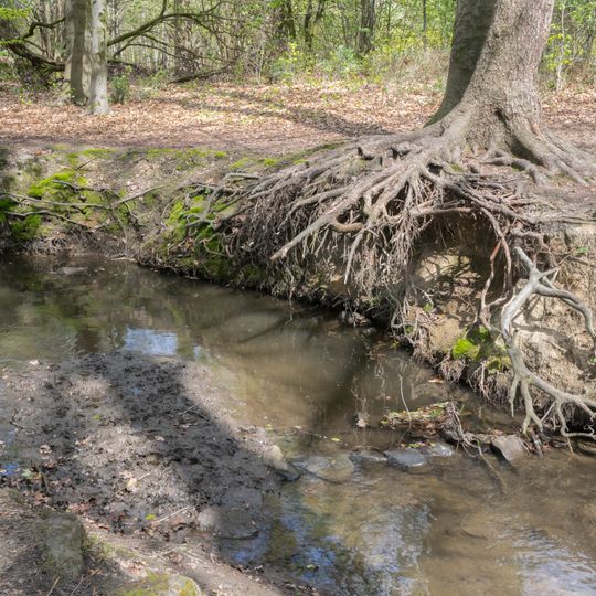 Großer Bruch am Wellbach