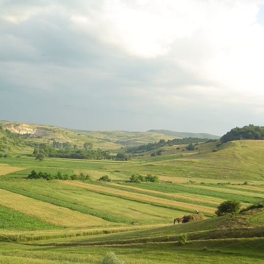 Transylvanian Plateau
