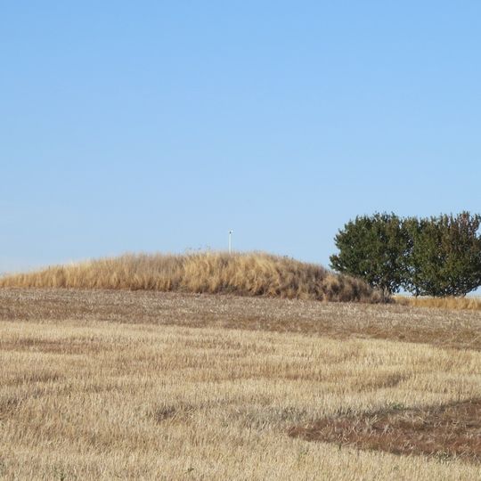 Skällahög, Kalvabacken