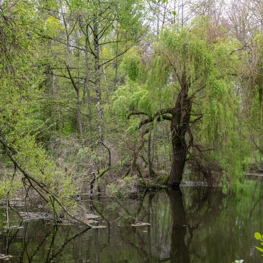 Ravensberger Hügelland