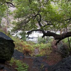 Silver Peak Wilderness