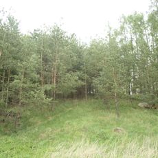 Dub u Nových Dvorů