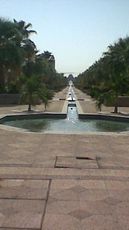 King Abdulaziz University