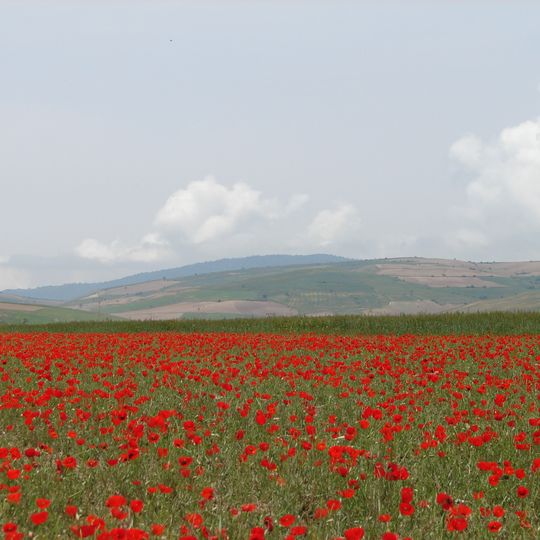 Shahrestān di Azadshahr