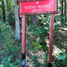 Rezerwat przyrody Zielone