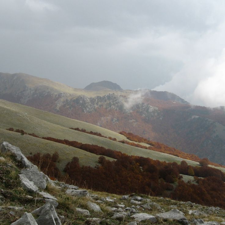 Pollino National Park