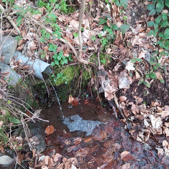 Studánka U Kostelní cesty