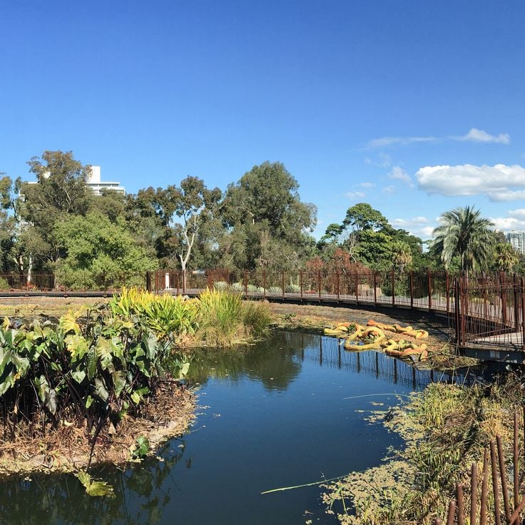 Kongelige botaniske hage