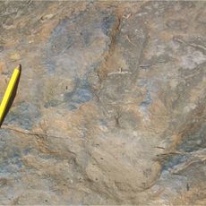 Dinosaur Footprints Reservation