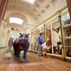 Musée d'histoire naturelle de Tournai